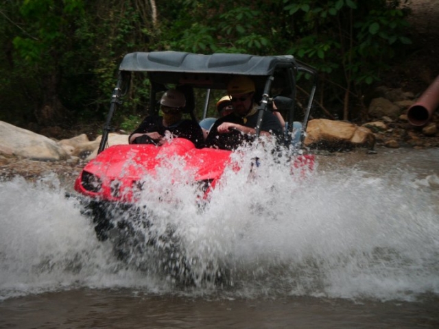  Diversão em rinocerontes 